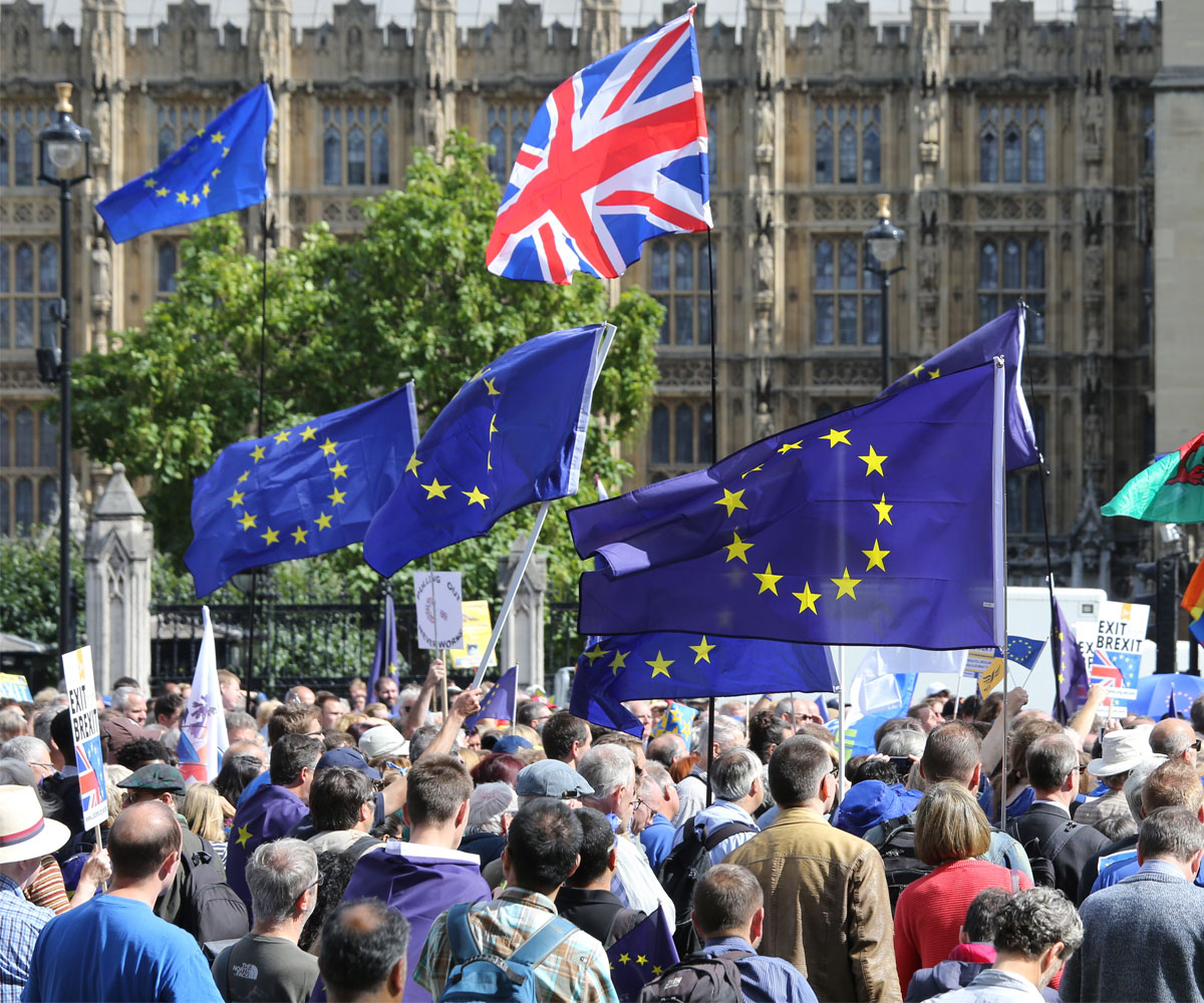 Protestors outside the Houses of Parliament in London. They are waving flags including the EU flag.