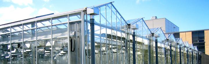 A range of specialist glasshouse and controlled environment facilities are available in the Department of Biology